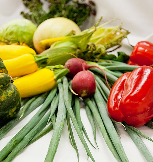An assortment of picked vegetables