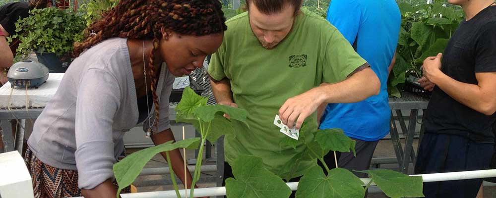 Two students work with plants in the Greenhouse