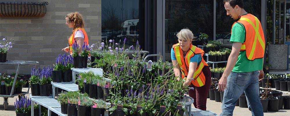 Horticulture students work outside setting up plants