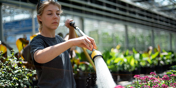 Woman watering flowers